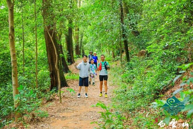 白云山悄悄上新了！全程无台阶！广州(图3)